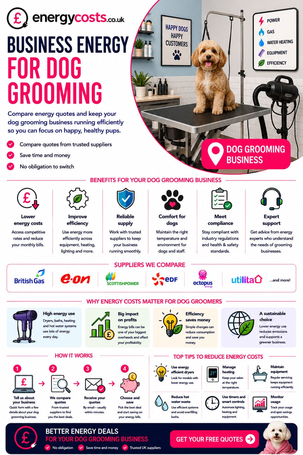 Dog grooming energy costs
